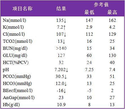 人工输尿管植入手术_猫咪输尿管结石：比膀胱结石更危险_猫输尿管阻塞治疗