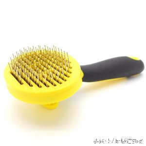 在家给狗洗澡技巧_训练幼犬适应洗澡的方法_宠物狗洗澡方法