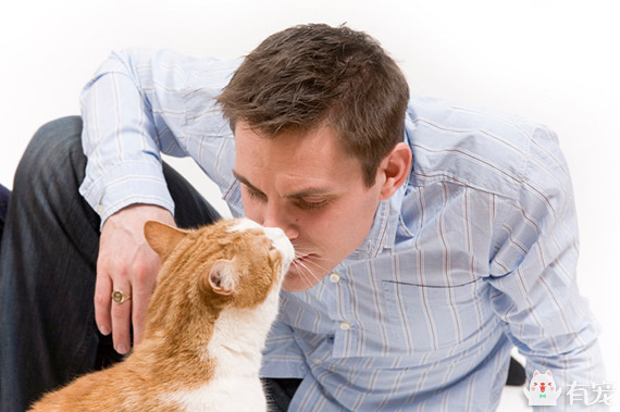 “吸猫”的背后究竟隐藏着什么-派特超人-宠物