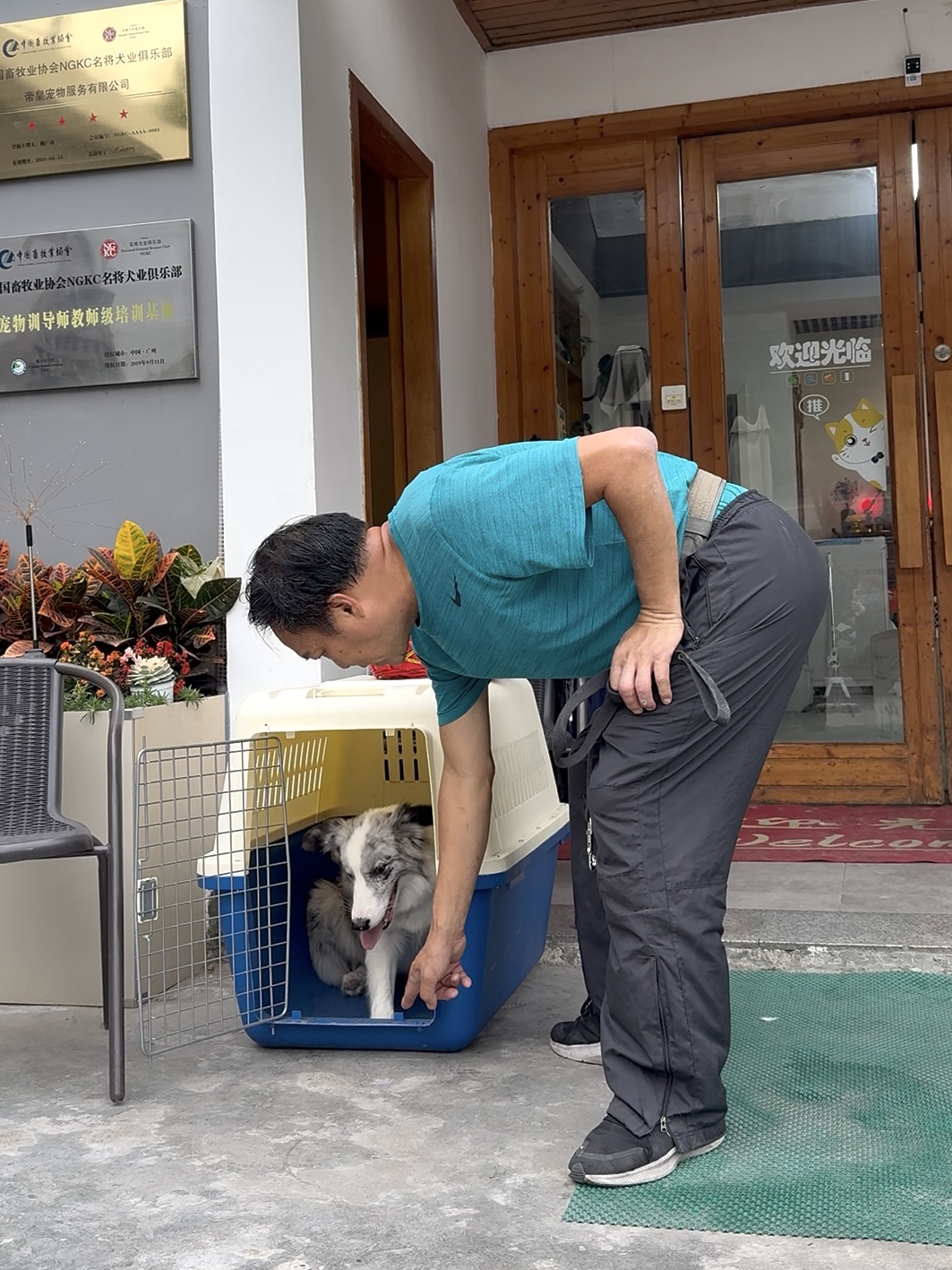 幼犬黄金训练期 _训练幼犬适应洗澡的方法_ 幼犬全期训练白皮书 