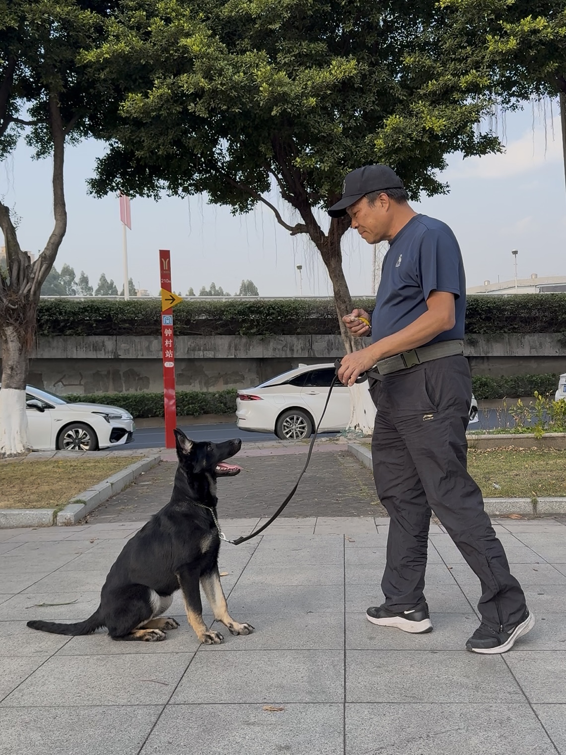 幼犬黄金训练期 _训练幼犬适应洗澡的方法_ 幼犬全期训练白皮书 