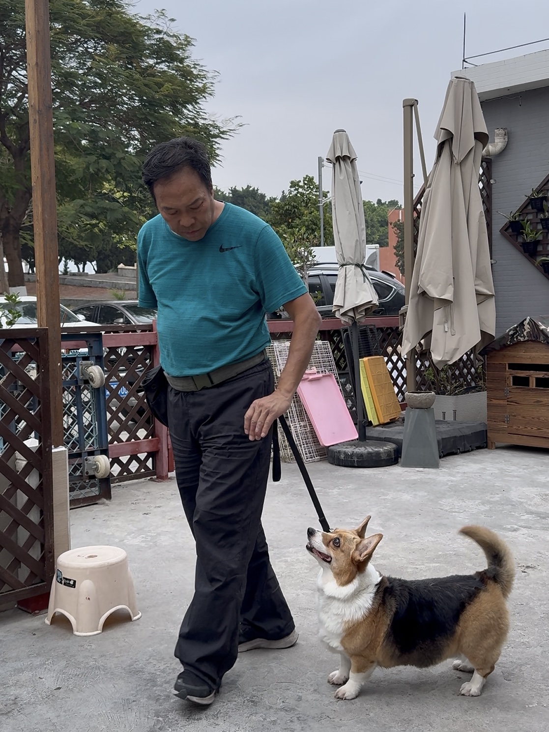  幼犬全期训练白皮书 _训练幼犬适应洗澡的方法_幼犬黄金训练期 