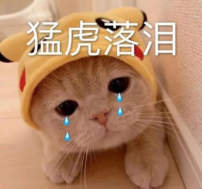 猫艾滋病症状_猫免疫缺陷病毒传播途径_猫咪身上有伤口要警惕猫艾滋
