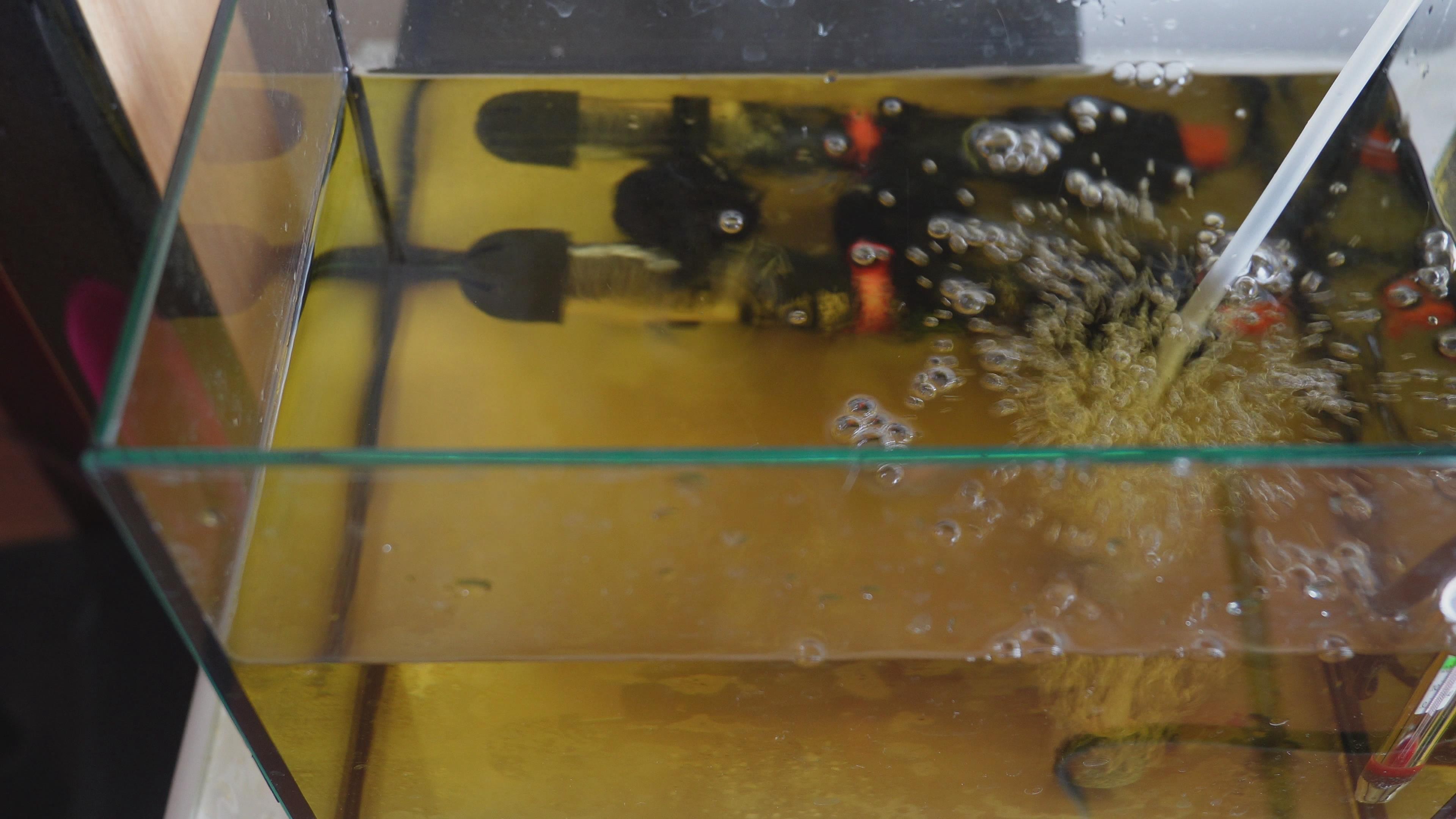鱼缸水爆氧好处_提高水体溶氧量_鱼缸水流太强的鱼类伤害