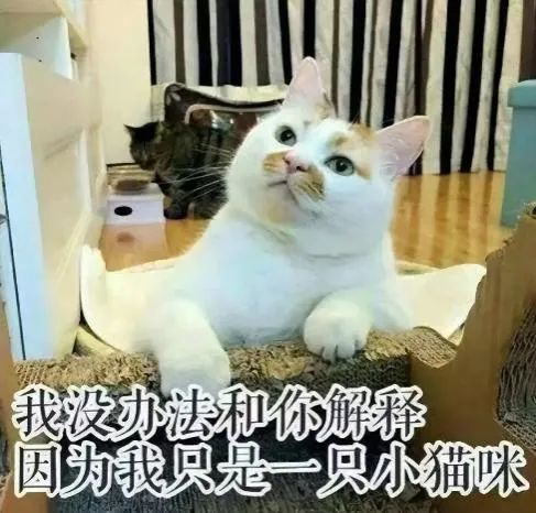 猫艾滋病传播途径_猫咪身上有伤口要警惕猫艾滋_猫免疫缺陷病毒FIV感染症状