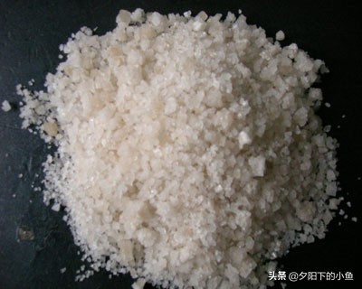  鱼类常见病消毒方法 _养鱼消毒常备品 _水草养护中的关键细节