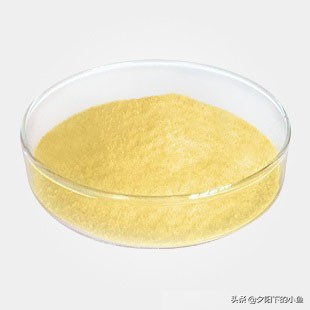  鱼类常见病消毒方法 _养鱼消毒常备品 _水草养护中的关键细节