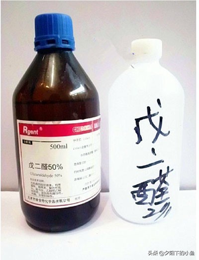  鱼类常见病消毒方法 _水草养护中的关键细节_养鱼消毒常备品 
