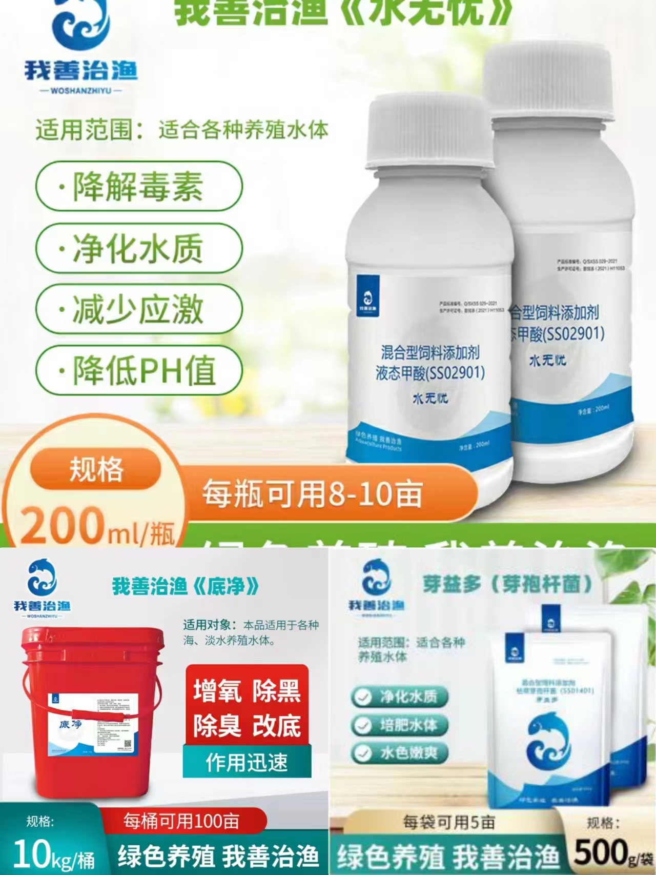 海参养殖水草危害_水草养护中的关键细节_海参养殖水草防控方法