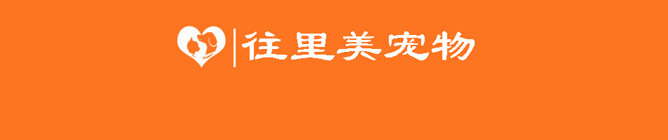 鸟类换羽期的特殊护理要点_百灵鸟饲养笼具选择_百灵鸟日常饲养要点