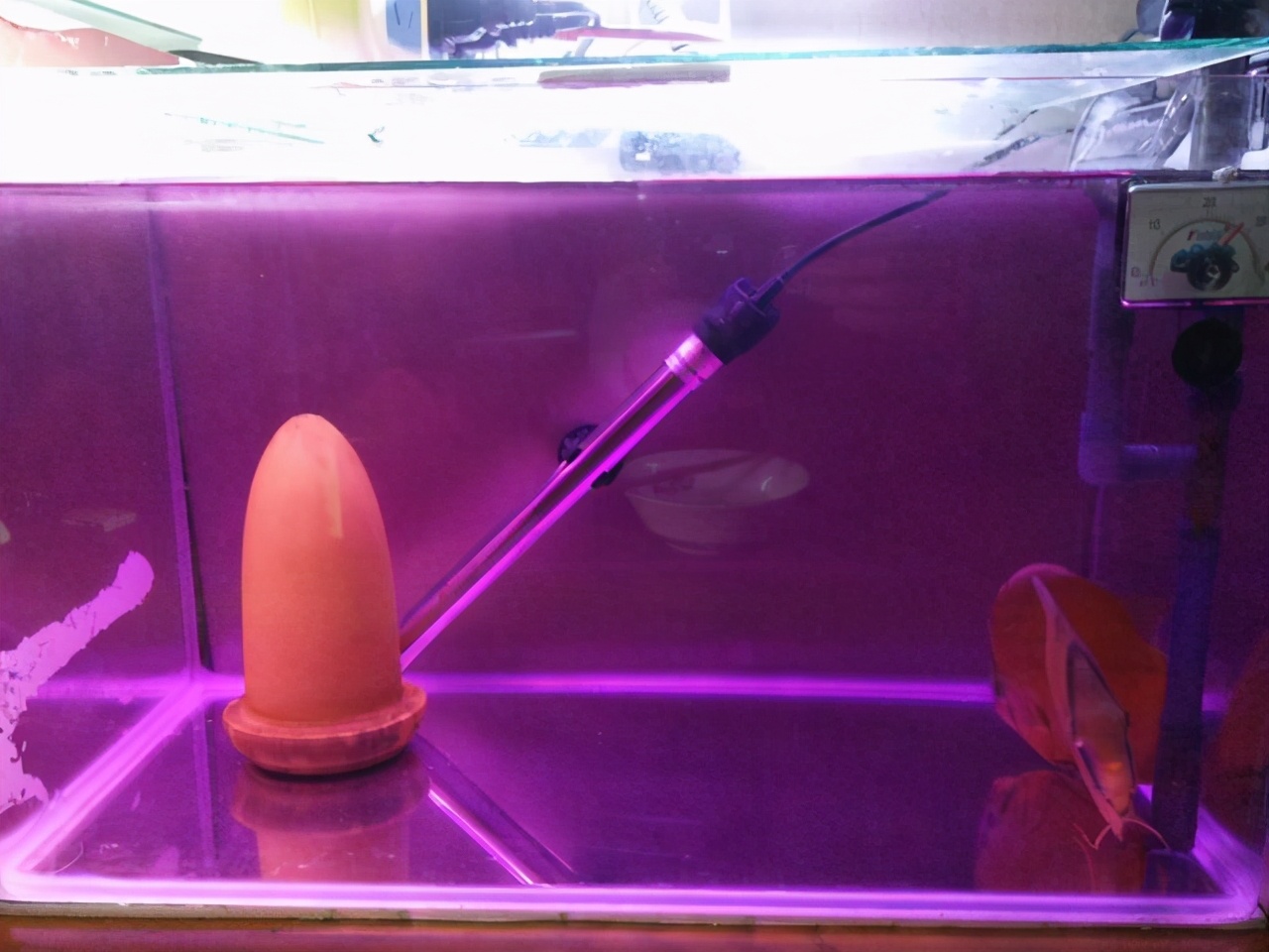 鱼缸里有鱼可以使用高锰酸钾消毒吗，滤材咋办，需要爆氧吗？-派特超人-宠物