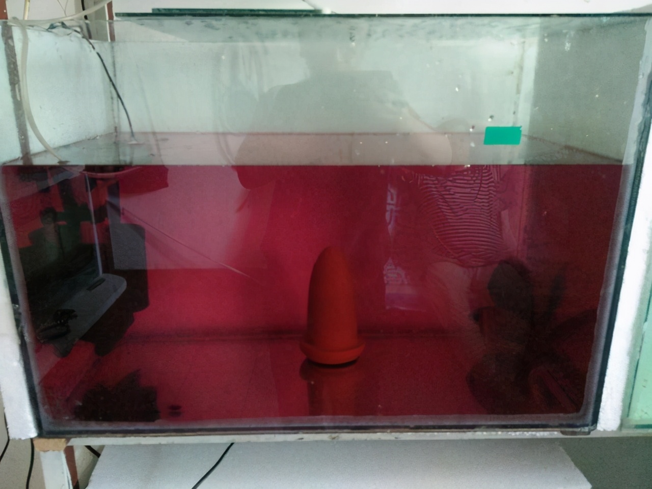 高锰酸钾观赏鱼消毒使用方法_鱼缸消毒的正确操作流程_鱼缸使用高锰酸钾注意事项