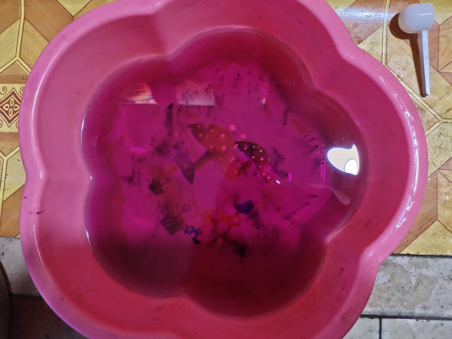 鱼缸消毒的正确操作流程_高锰酸钾观赏鱼消毒使用方法_鱼缸使用高锰酸钾注意事项