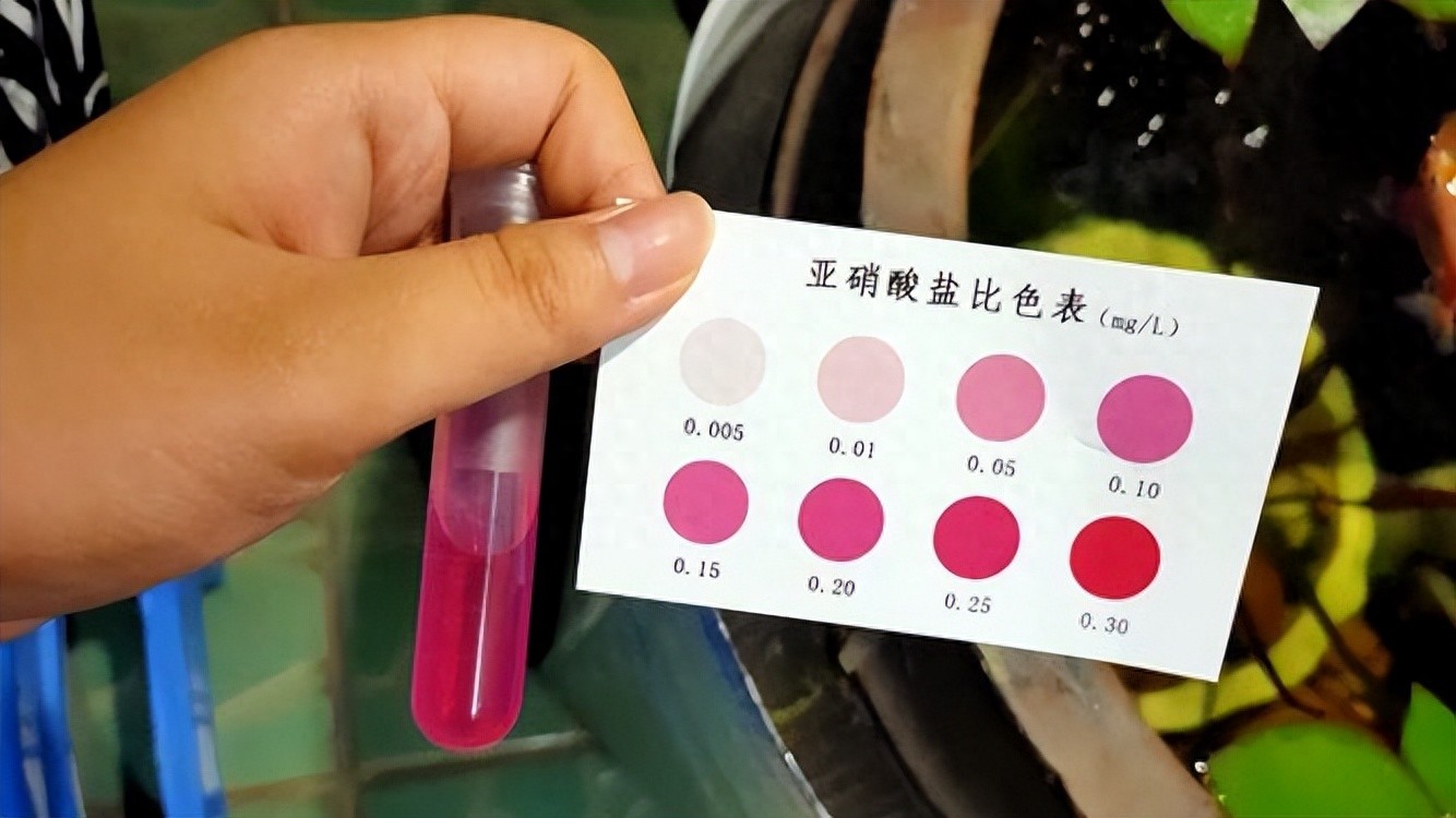 鱼缸造浪泵使用不当的伤害_亚硝酸盐超标鱼类处理方法_鱼缸亚硝酸盐超标打氧效果