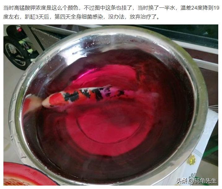 鱼缸养鱼消毒杀菌误区_新鱼缸消毒杀菌必要性_鱼缸消毒的正确操作流程