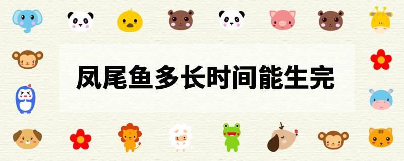 凤尾鱼多长时间能生完-派特超人-宠物
