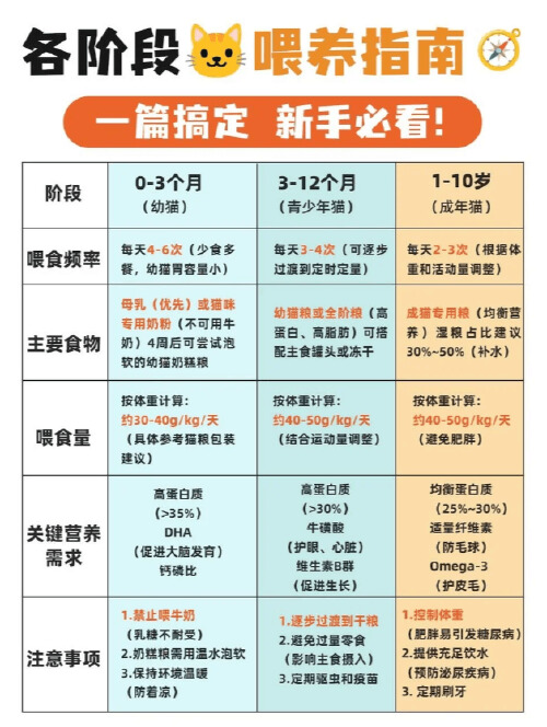 猫咪最喜欢的猫粮口味_猫咪不同年龄段饮食偏好_猫咪十大最爱食物