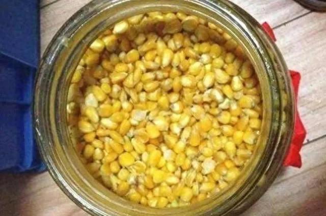 自制鲤鱼饵料_让鱼儿颜色更鲜艳的秘方_鲤鱼绝杀配方