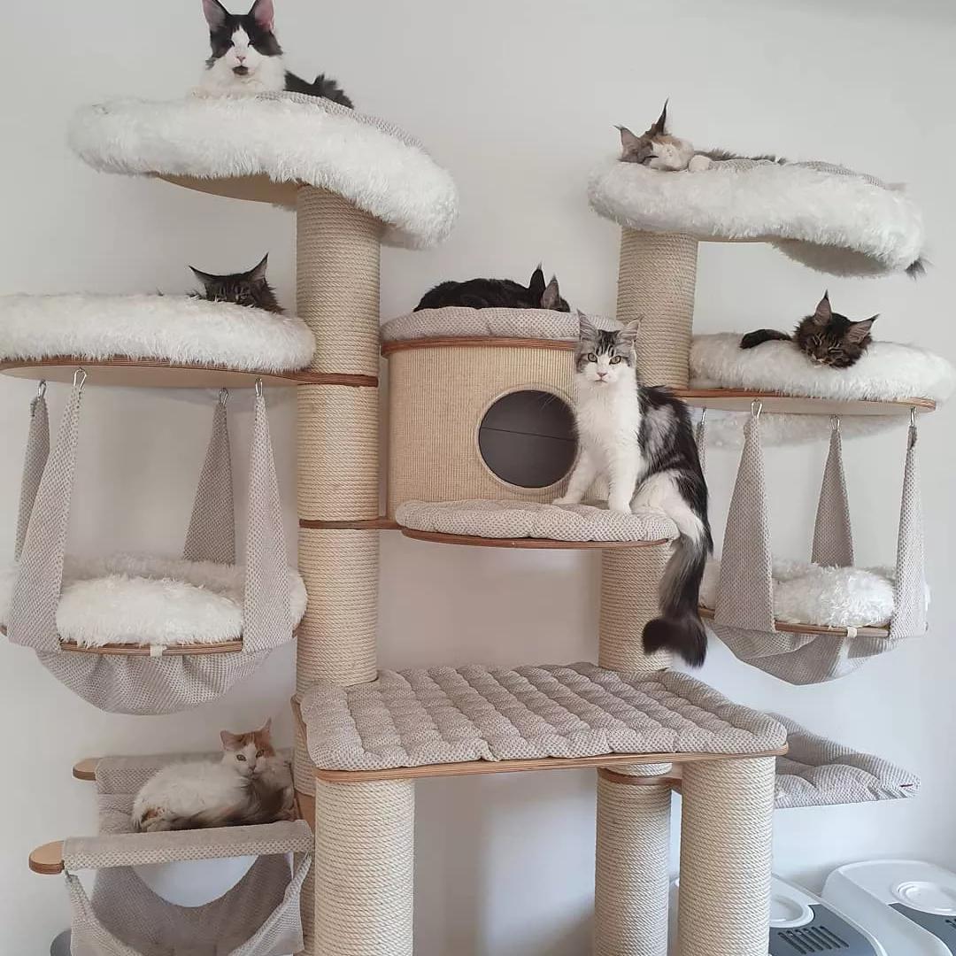 多功能猫树推荐_怎样选择适合猫咪的猫爬架_猫树种类
