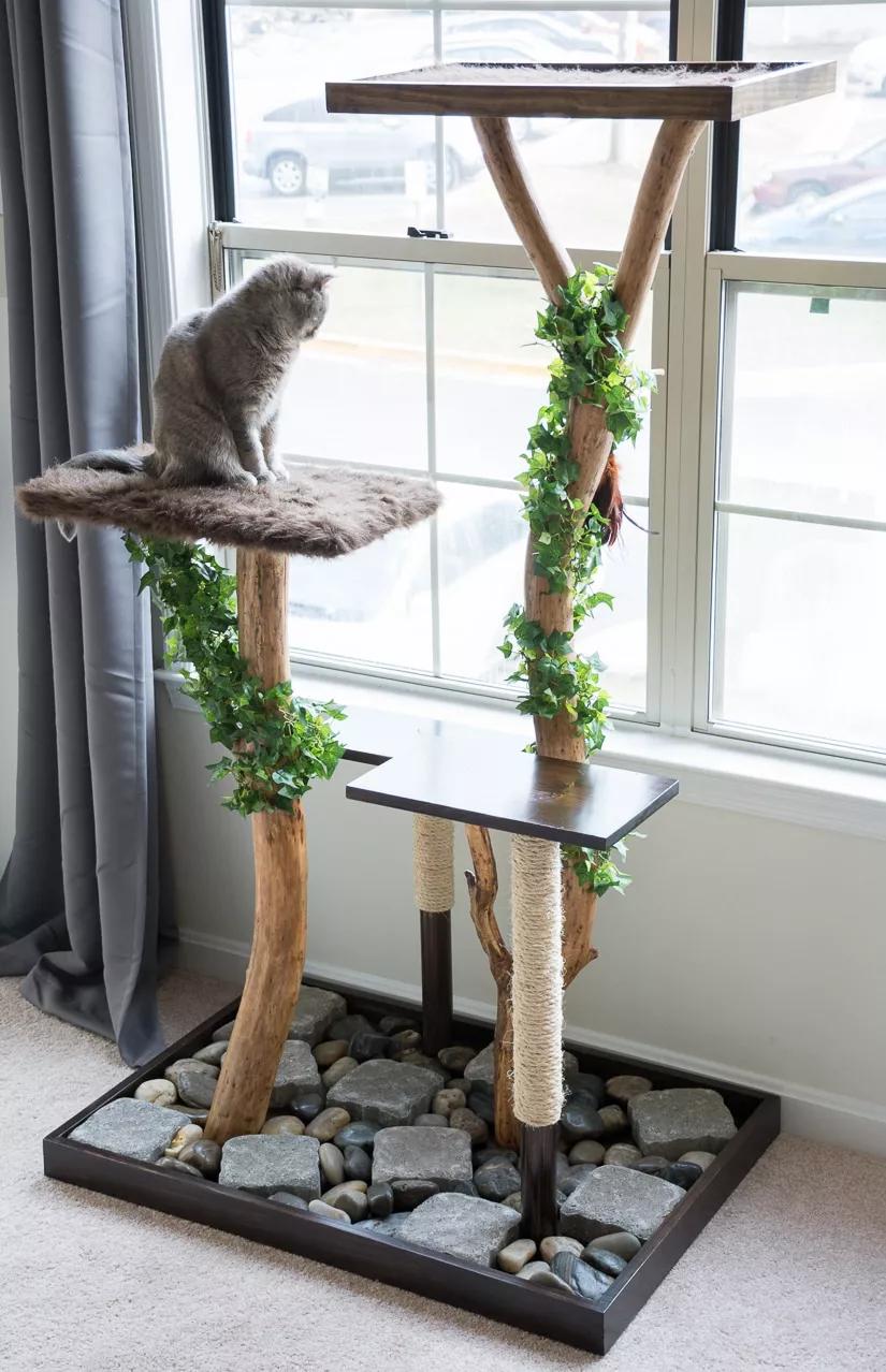 猫树种类_多功能猫树推荐_怎样选择适合猫咪的猫爬架