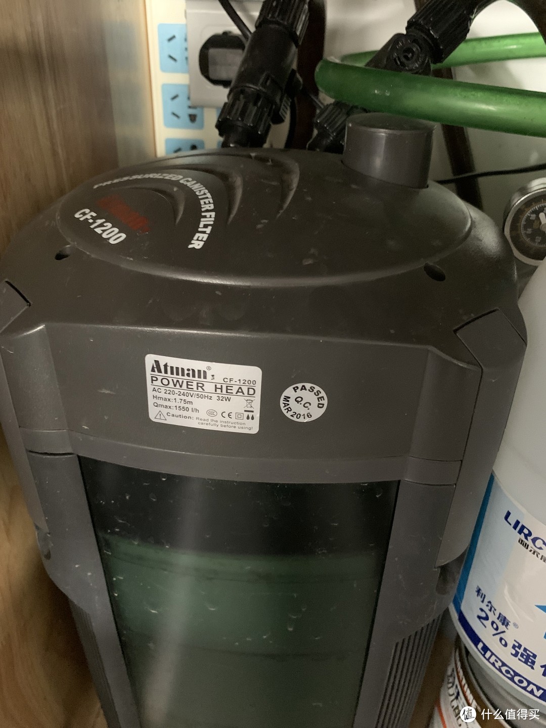 趴地矮珍珠水草养殖_水草养护中的关键细节_北方草缸养鱼经验