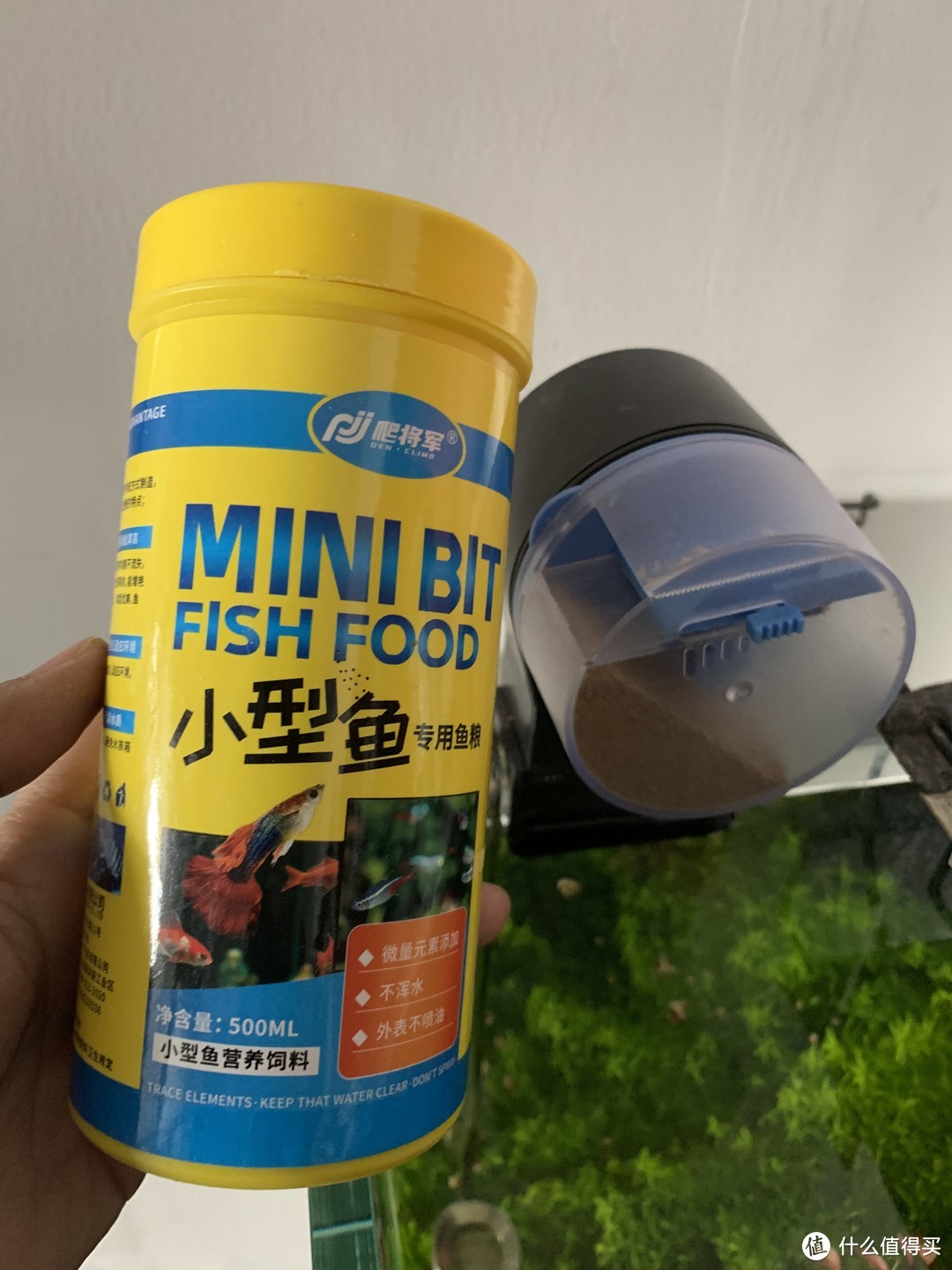 北方草缸养鱼经验_水草养护中的关键细节_趴地矮珍珠水草养殖