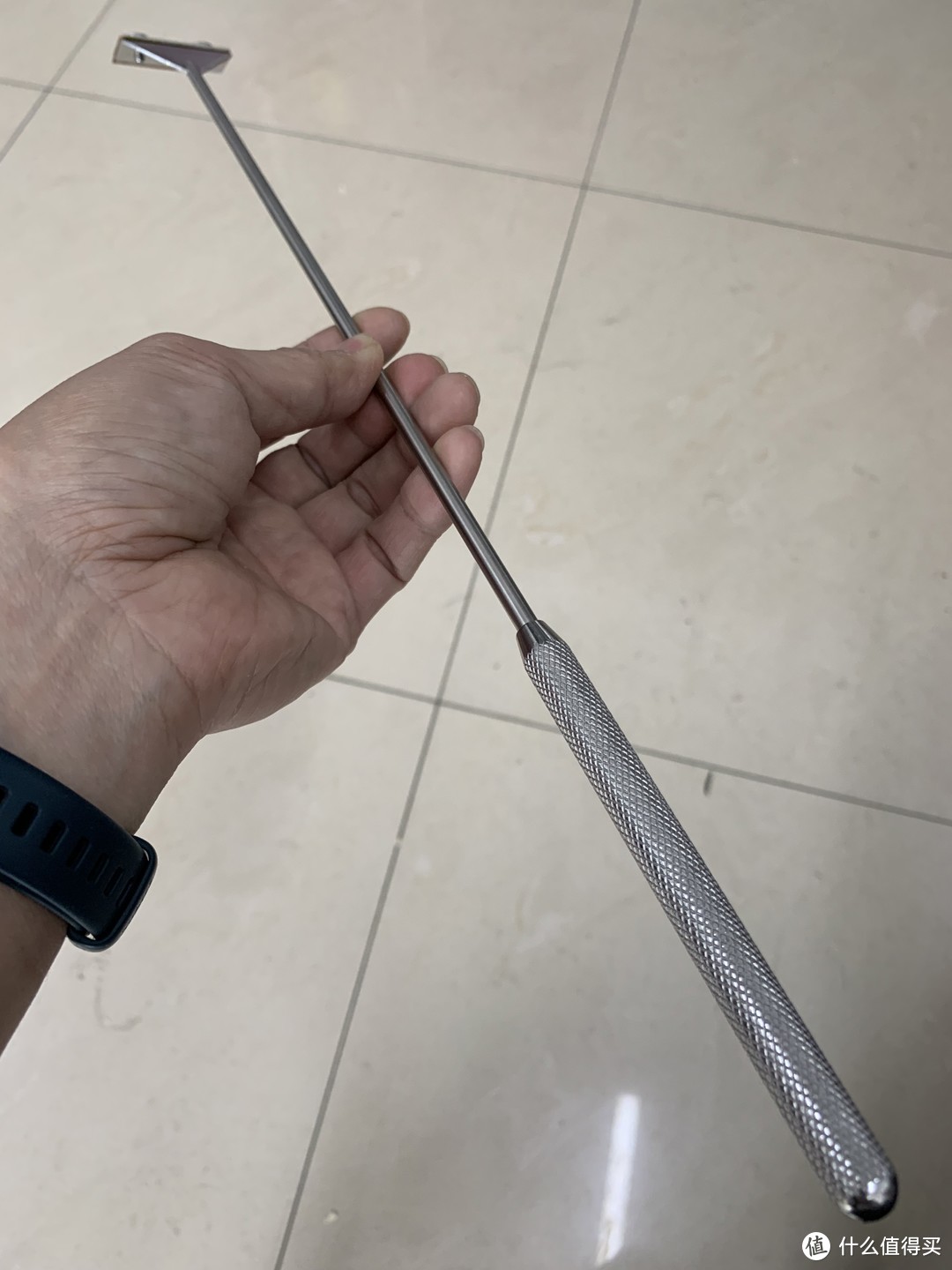 水草养护中的关键细节_趴地矮珍珠水草养殖_北方草缸养鱼经验