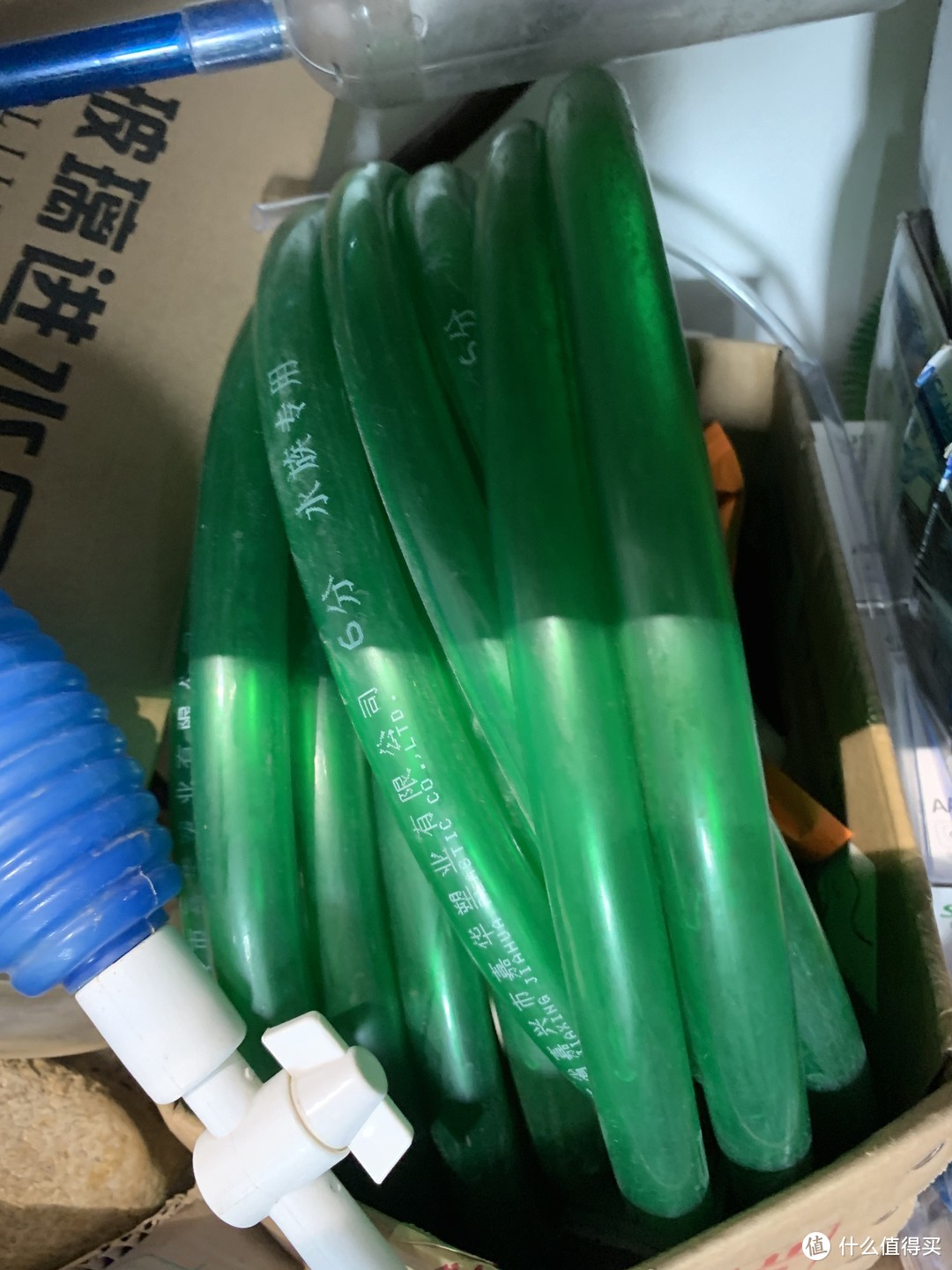 水草养护中的关键细节_北方草缸养鱼经验_趴地矮珍珠水草养殖