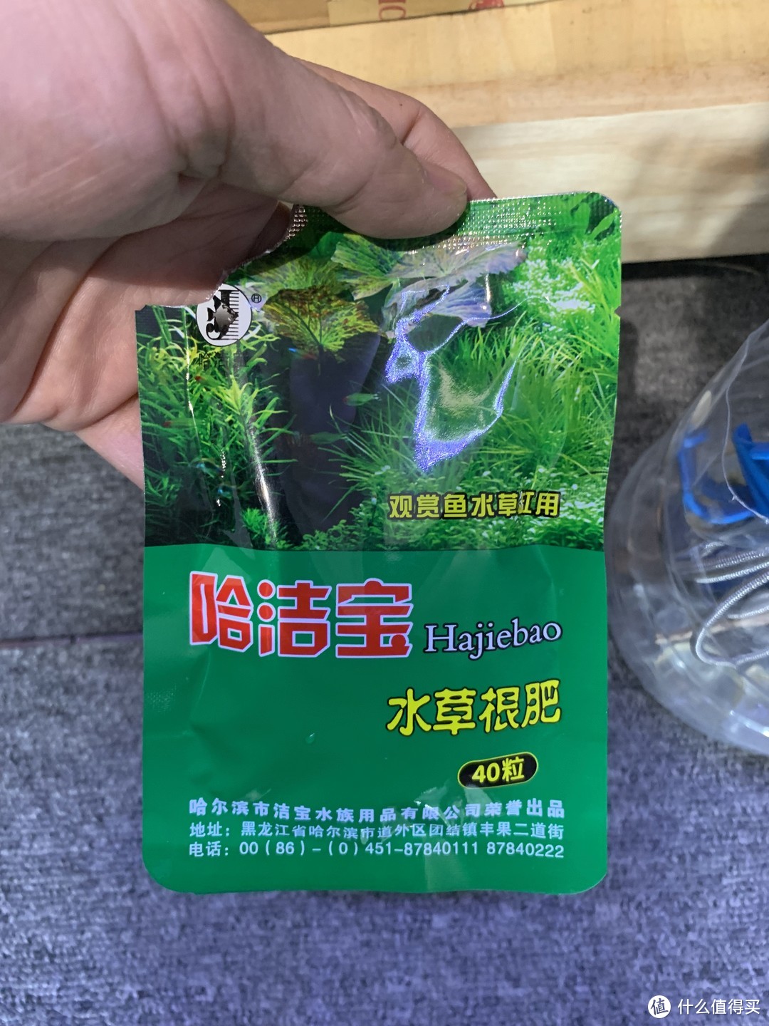 趴地矮珍珠水草养殖_水草养护中的关键细节_北方草缸养鱼经验