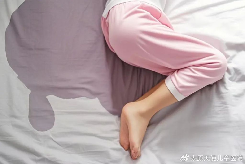 孩子夜间尿床原因_猫咪尿床可能是行为问题或疾病_儿童遗尿心理因素
