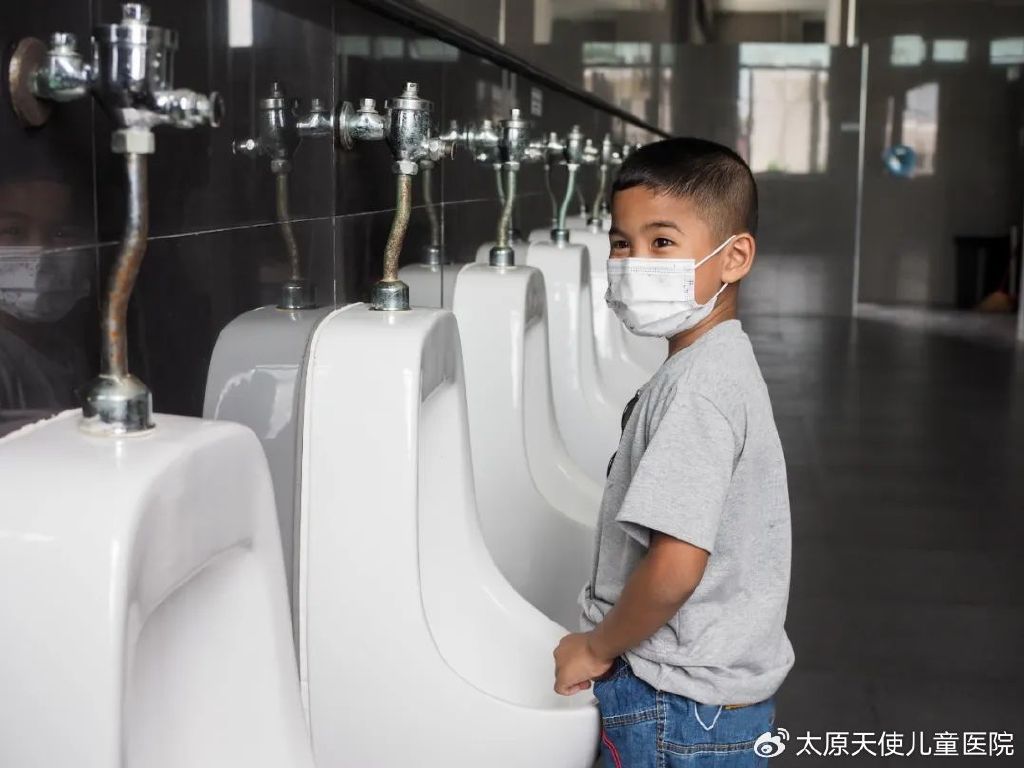 孩子夜间尿床原因_猫咪尿床可能是行为问题或疾病_儿童遗尿心理因素