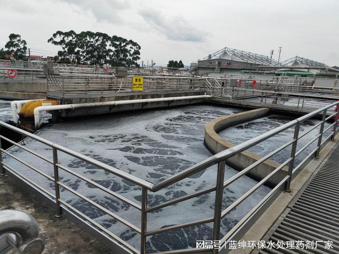 鱼缸氨氮超标的解毒技巧_氨氮污水处理技术_生物法去除氨氮