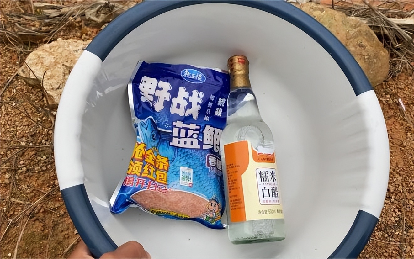 蓝鲫饵料神仙搭配_啤酒蓝鲫钓鱼配方_让鱼儿颜色更鲜艳的秘方