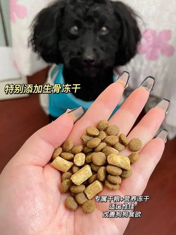 狗狗打喷嚏异物排出原因_狗狗鼻子分泌物？呼吸道感染和异物_狗狗慢性鼻炎治疗
