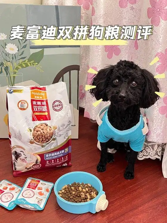 狗狗打喷嚏异物排出原因_狗狗鼻子分泌物？呼吸道感染和异物_狗狗慢性鼻炎治疗