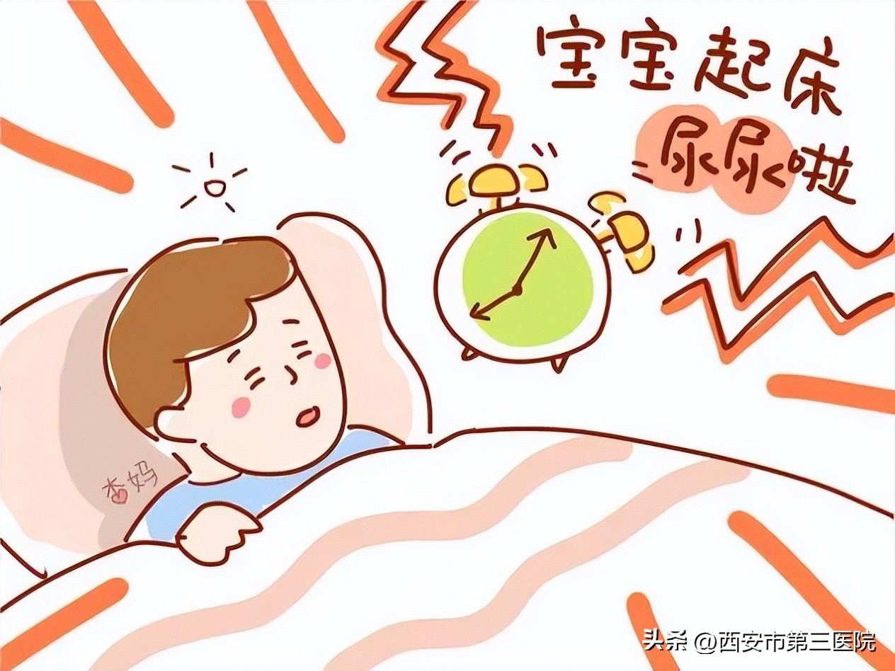 儿童遗尿症诊断方法_猫咪尿床可能是行为问题或疾病_5岁以上儿童遗尿症治疗
