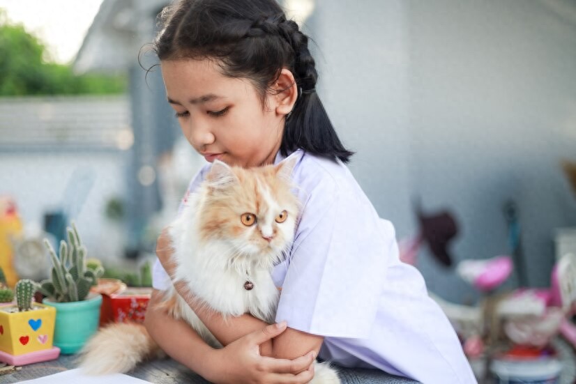 怎样选择适合猫咪的猫爬架_猫咪活动空间设计_金属猫爬架优势