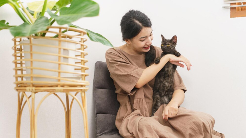 金属猫爬架优势_怎样选择适合猫咪的猫爬架_猫咪活动空间设计
