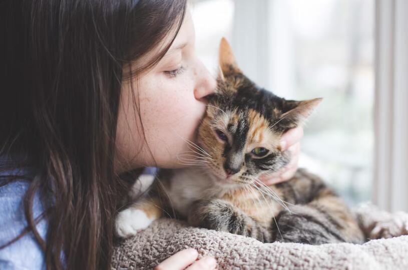 金属猫爬架优势_猫咪活动空间设计_怎样选择适合猫咪的猫爬架