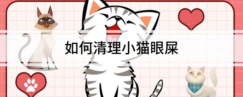 如何清理小猫眼屎-派特超人-宠物
