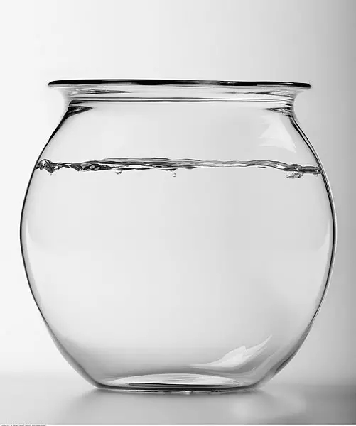 鱼缸水垢清洗方法_水族缸褐藻去除_鱼缸里发现寄生虫怎么办