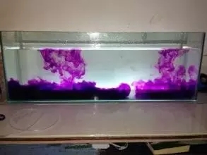 水族缸褐藻去除_鱼缸水垢清洗方法_鱼缸里发现寄生虫怎么办