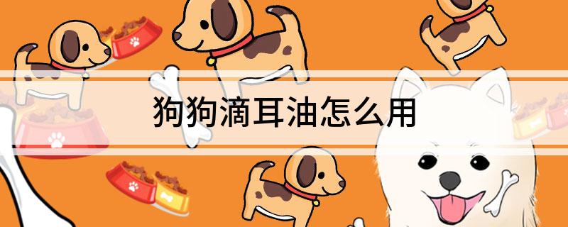 狗狗滴耳油怎么用-派特超人-宠物