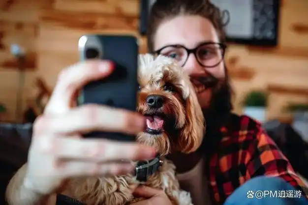 狗狗毛发干枯无光原因_狗狗毛发干枯？营养缺乏和皮肤病的区别_狗狗毛发营养调理方法