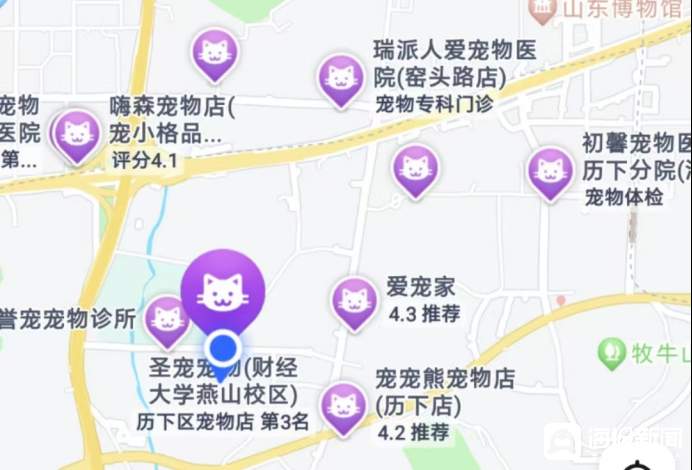 如何让狗狗爱上洗护过程_济南历下区宠物店数量_宠物店洗护服务价格
