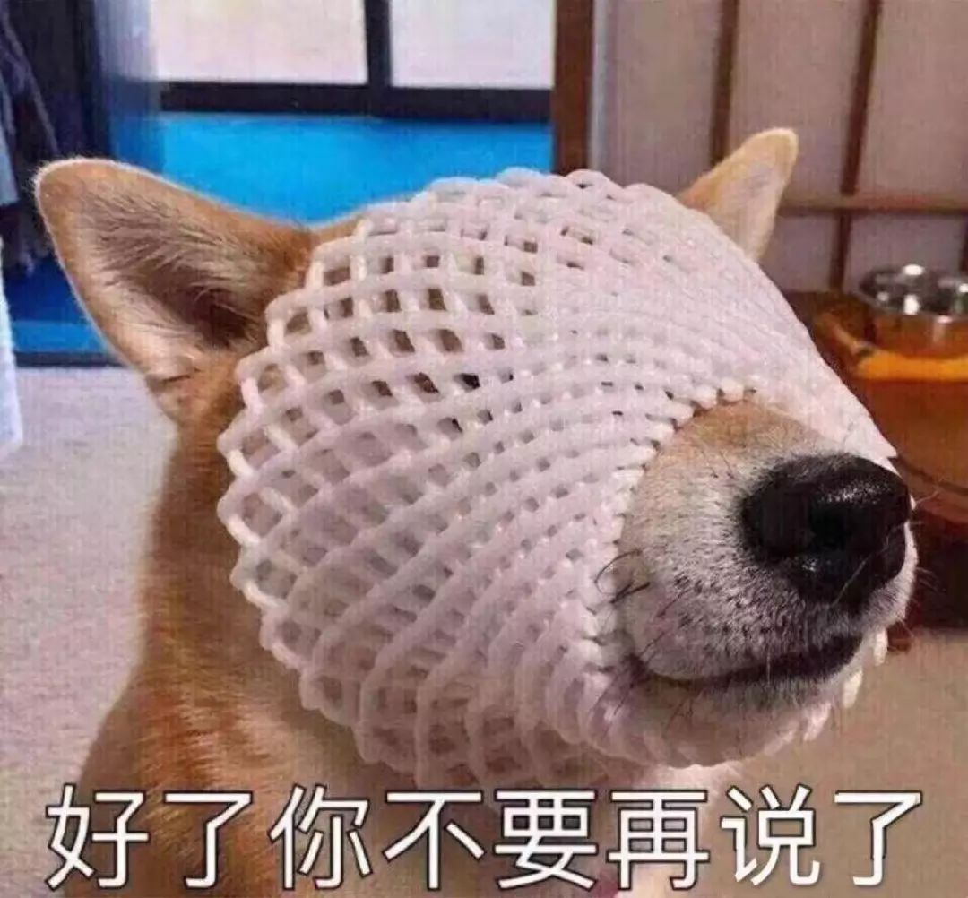 如何让狗狗爱上洗护过程_宠物日常用品清单_宠物药品准备