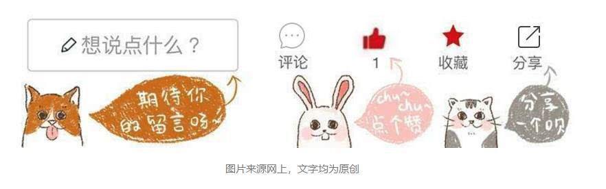 宠物日常用品清单_宠物药品准备_如何让狗狗爱上洗护过程