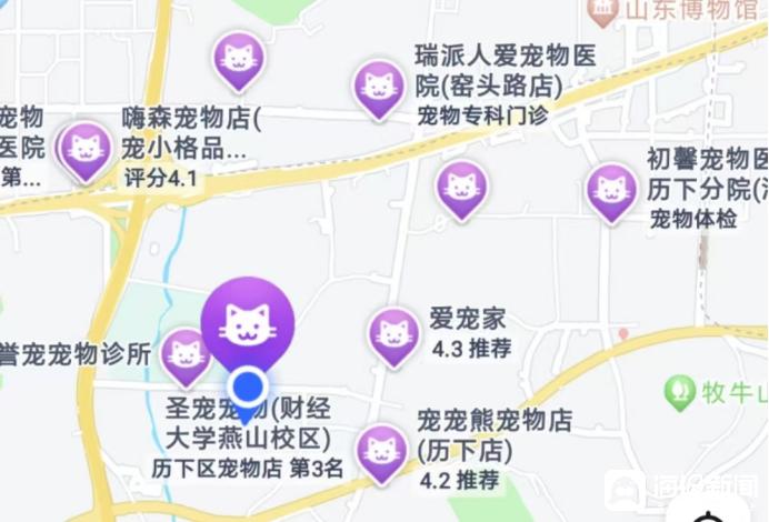 宠物店洗护服务价格_如何让狗狗爱上洗护过程_济南历下区宠物店数量