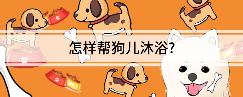 怎样帮狗儿沐浴?-派特超人-宠物