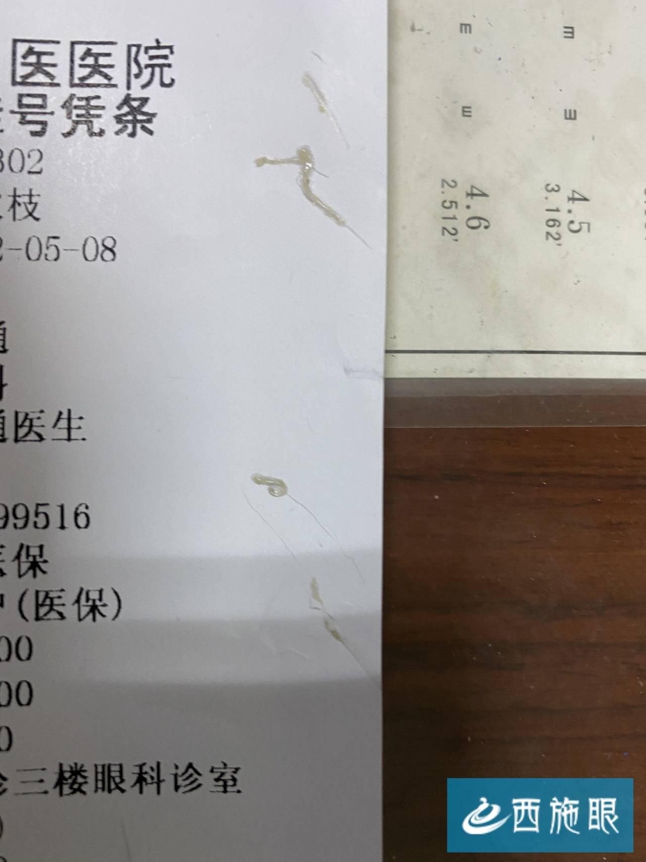 狗狗频繁揉眼？异物和角膜溃疡_结膜吸吮线虫感染治疗_孩子眼睛虫子感染